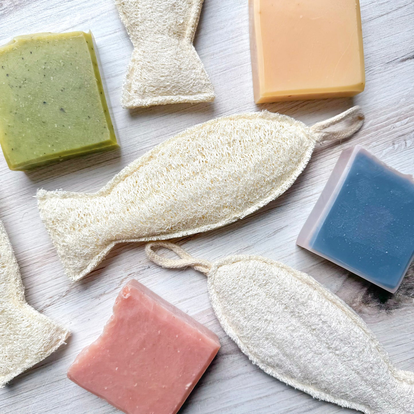 Loofah Sponge